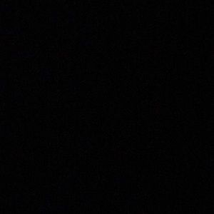 Meet your Posher, Maggie